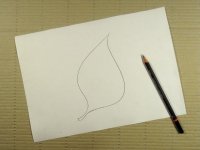 Disegnare una foglia